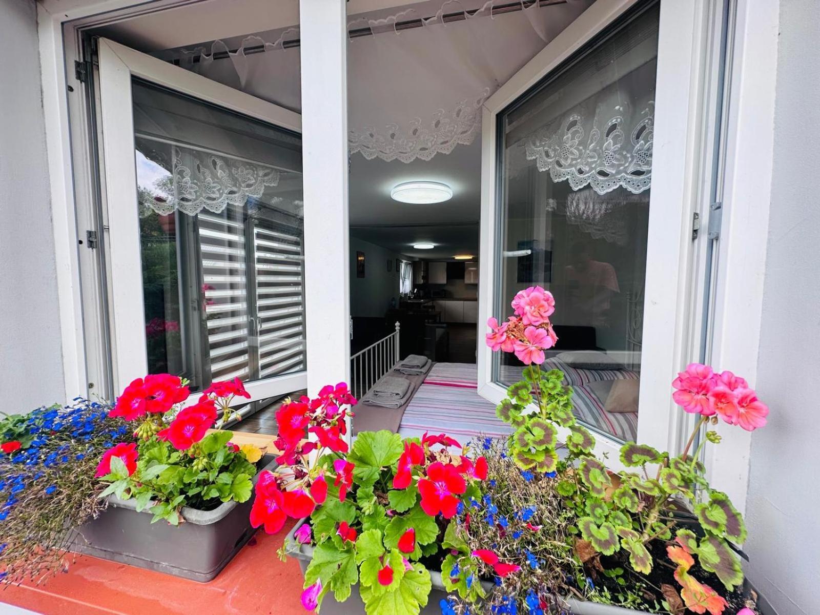 Apartament Bukowy โควอตสโก ภายนอก รูปภาพ